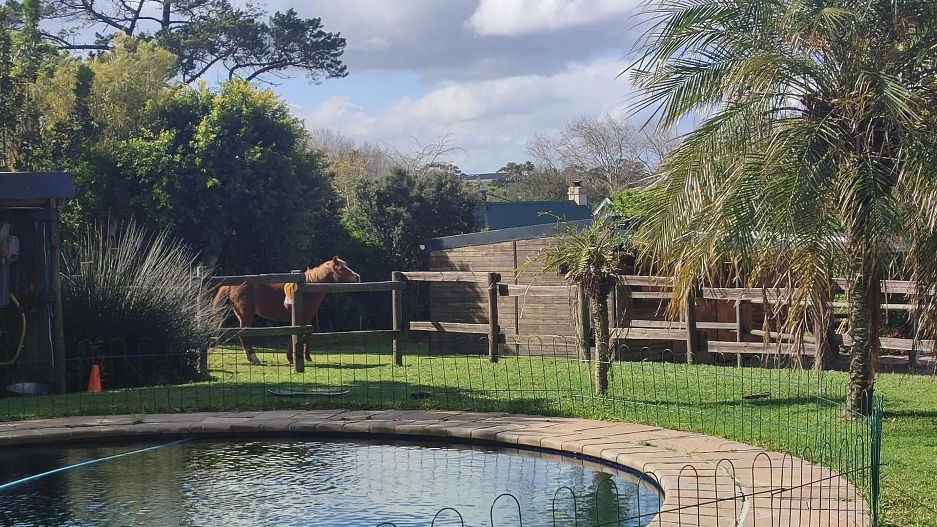Сasa de vacaciones Farm Away From Home Constantia Sudáfrica
